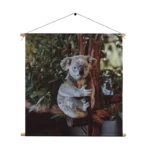 Textielposter De Vastgelamde Koala Vierkant Template TP Vierkant Dieren 23 1