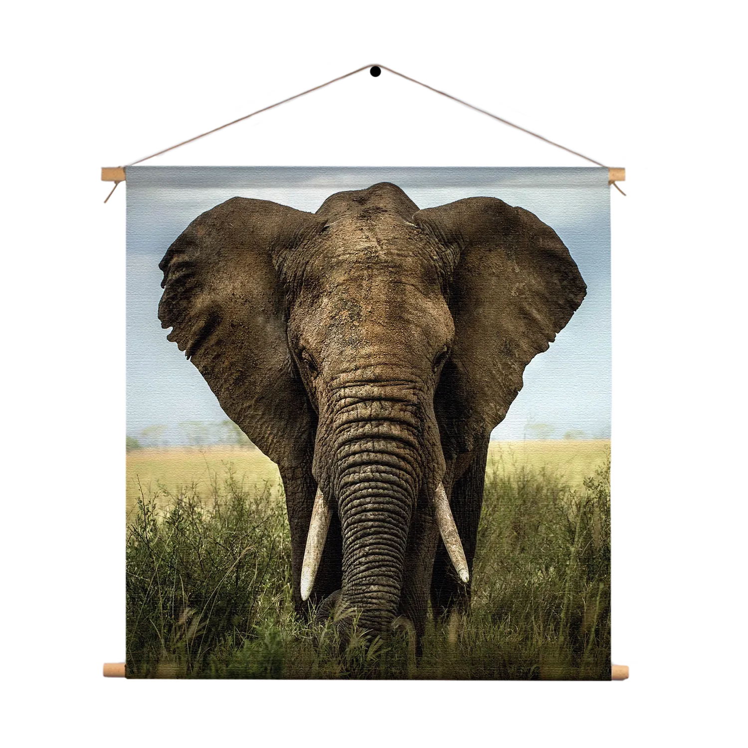 Textielposter Olifant Vierkant Template TP Vierkant Dieren 25 1