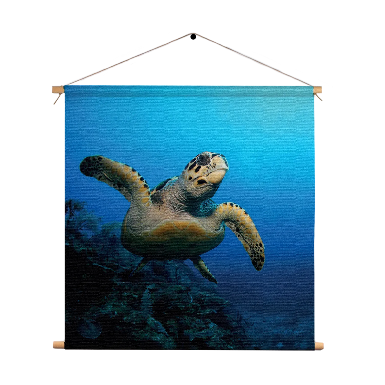 Textielposter Zeeschildpad In Helderblauw Water 02 Vierkant Template TP Vierkant Dieren 26 1