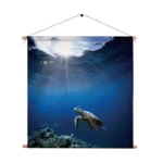 Textielposter Zeeschildpad In Helderblauw Water 03 Vierkant Template TP Vierkant Dieren 30 1