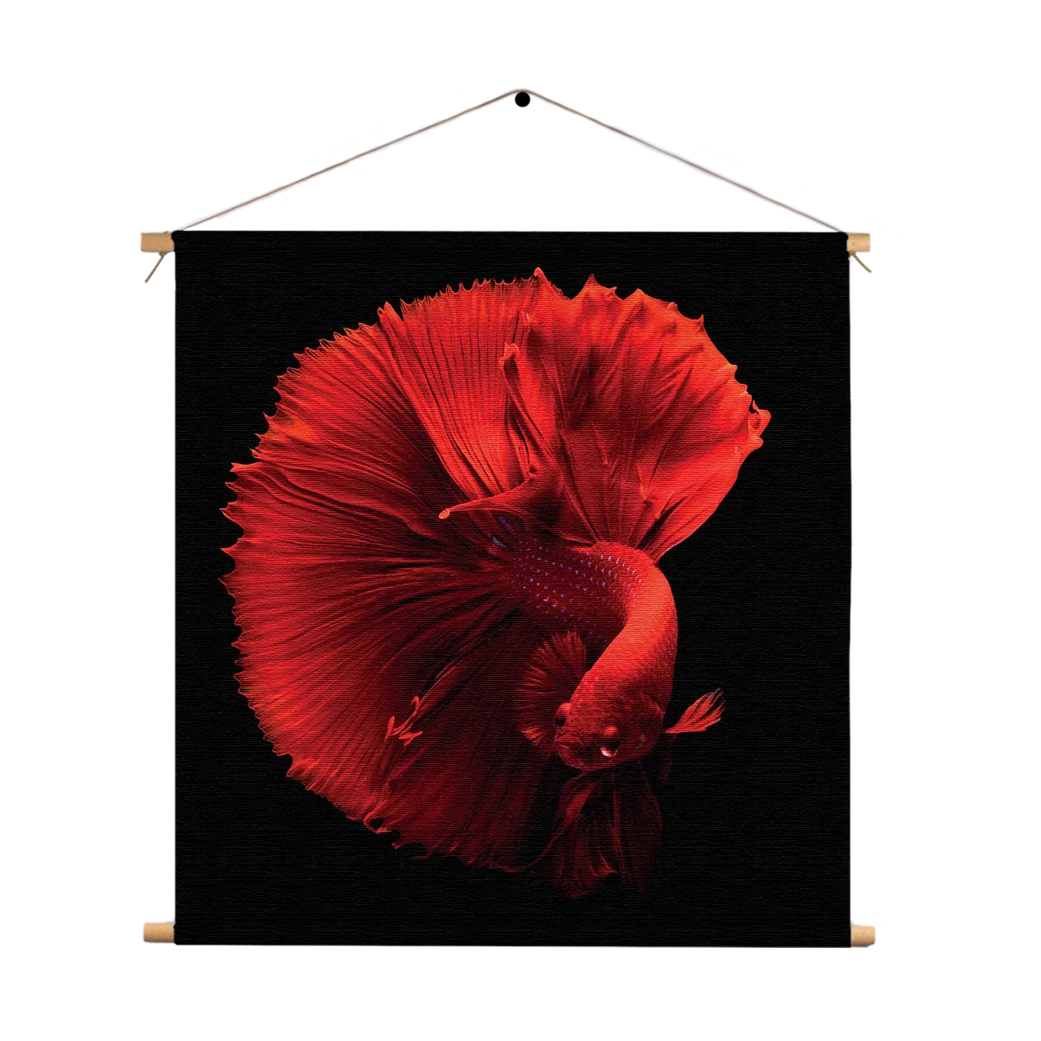 Textielposter Red Dragon Siamese Fighting Fish Vierkant Template TP Vierkant Dieren 32 1
