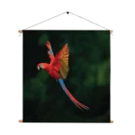 Textielposter Vliegende Ara Vogel Vierkant Template TP Vierkant Dieren 40 1