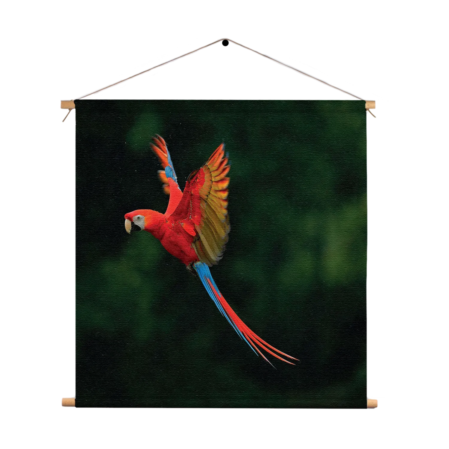 Textielposter Vliegende Ara Vogel Vierkant Template TP Vierkant Dieren 40 1
