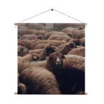 Textielposter Kudde Schapen Vierkant Template TP Vierkant Dieren 8 1