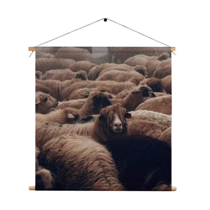 Textielposter Kudde Schapen Vierkant Template TP Vierkant Dieren 8 1