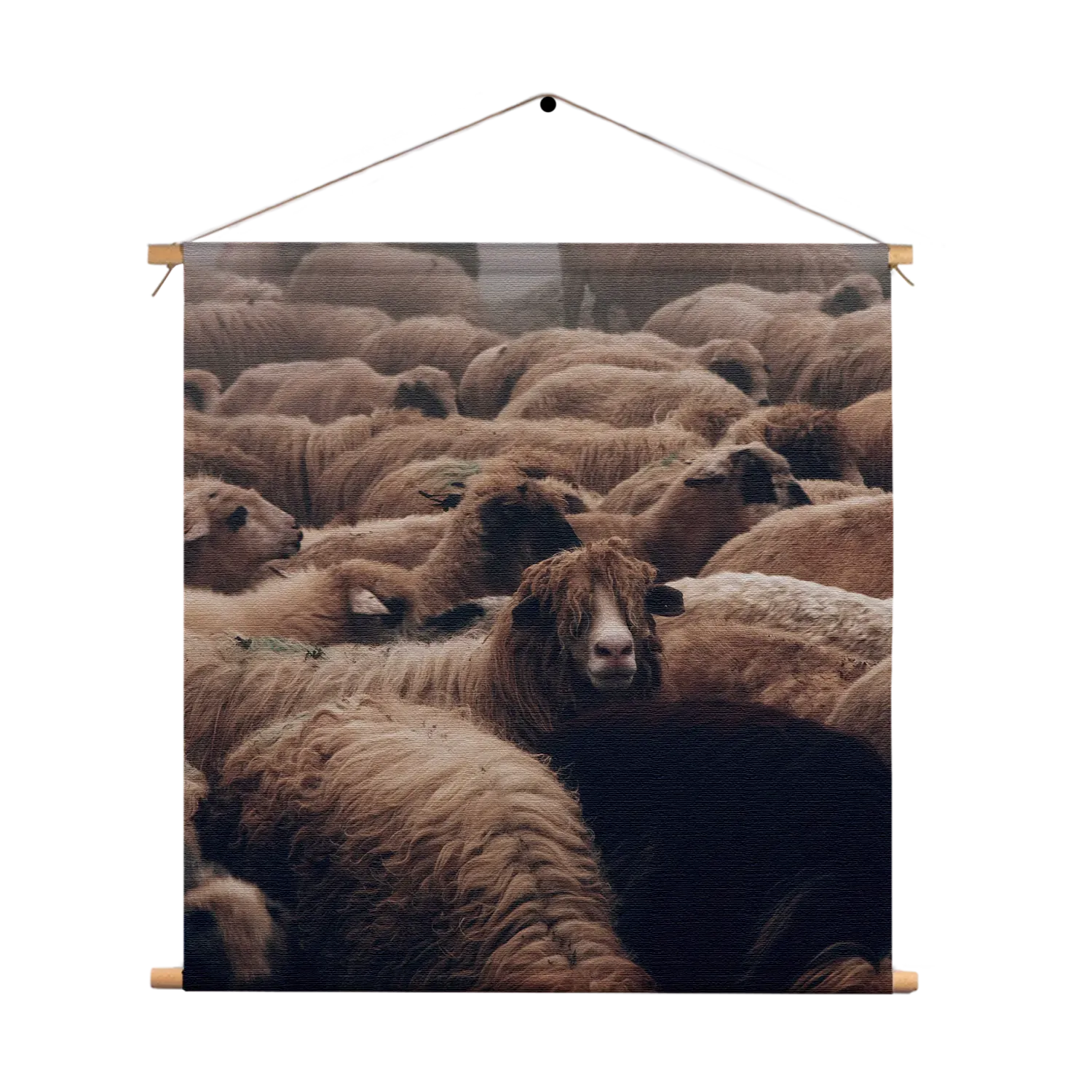 Textielposter Kudde Schapen Vierkant Template TP Vierkant Dieren 8 1