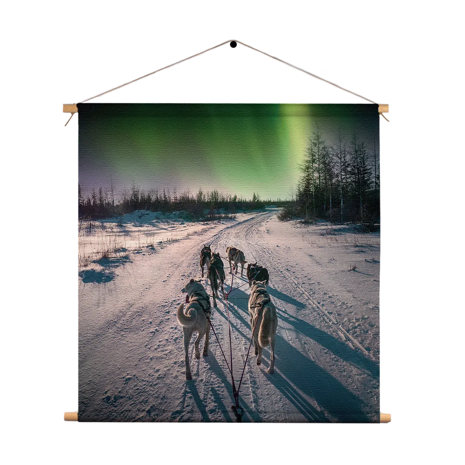 Textielposter Huskies door Lapland Vierkant Template TP Vierkant Natuur 66 1