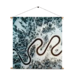 Textielposter Weg door een witte wereld Vierkant Template TP Vierkant Natuur 70 1