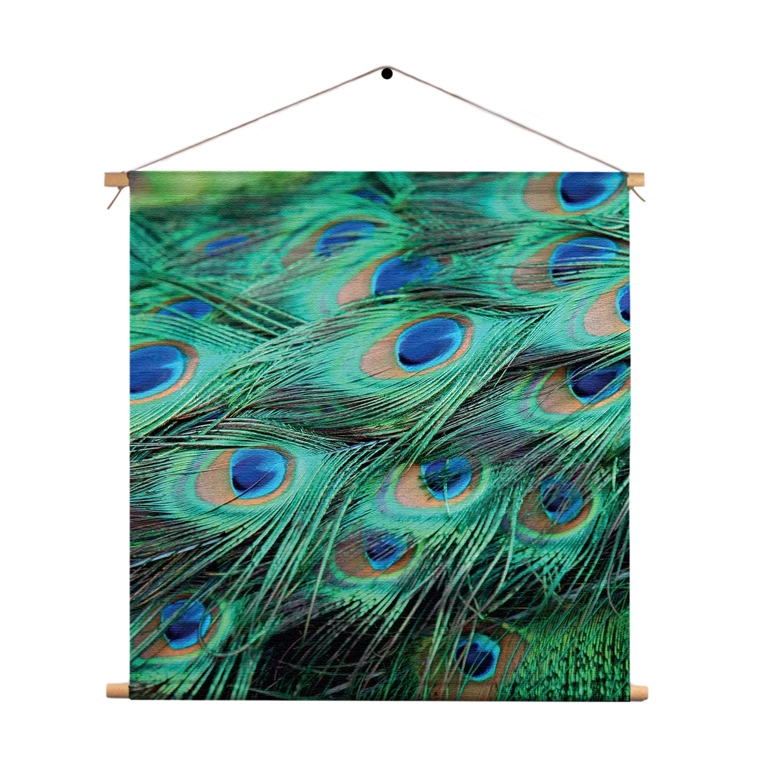 Textielposter Veren van de Pauw Vierkant Template TP Vierkant Natuur 89 1