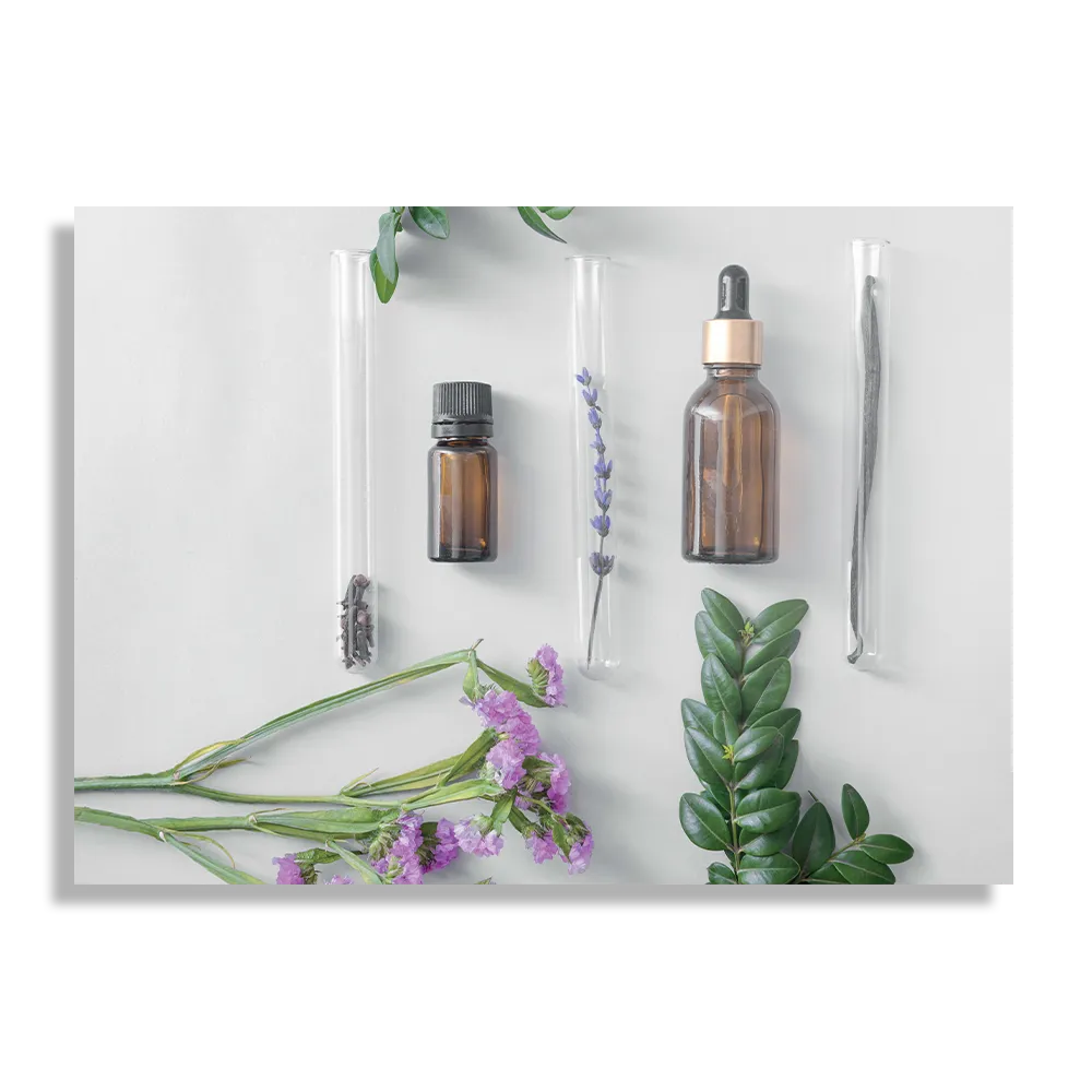 Template_DB_50-70_Horizontaal_Beauty_15-1 Schilderij Beautysalon Planten Marmer Rechthoek Horizontaal Template DB 50 70 Horizontaal Beauty 15 1