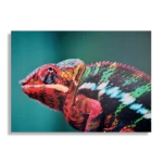 Schilderij Kameleon Kleurrijk Rechthoek Horizontaal Template DB 50 70 Horizontaal Dieren 10 1