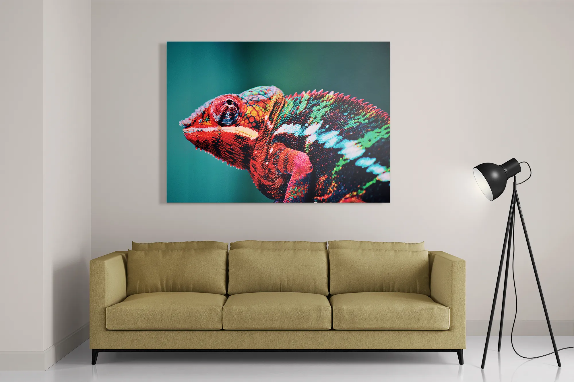 Schilderij Kameleon Kleurrijk Rechthoek Horizontaal Template DB 50 70 Horizontaal Dieren 10 2