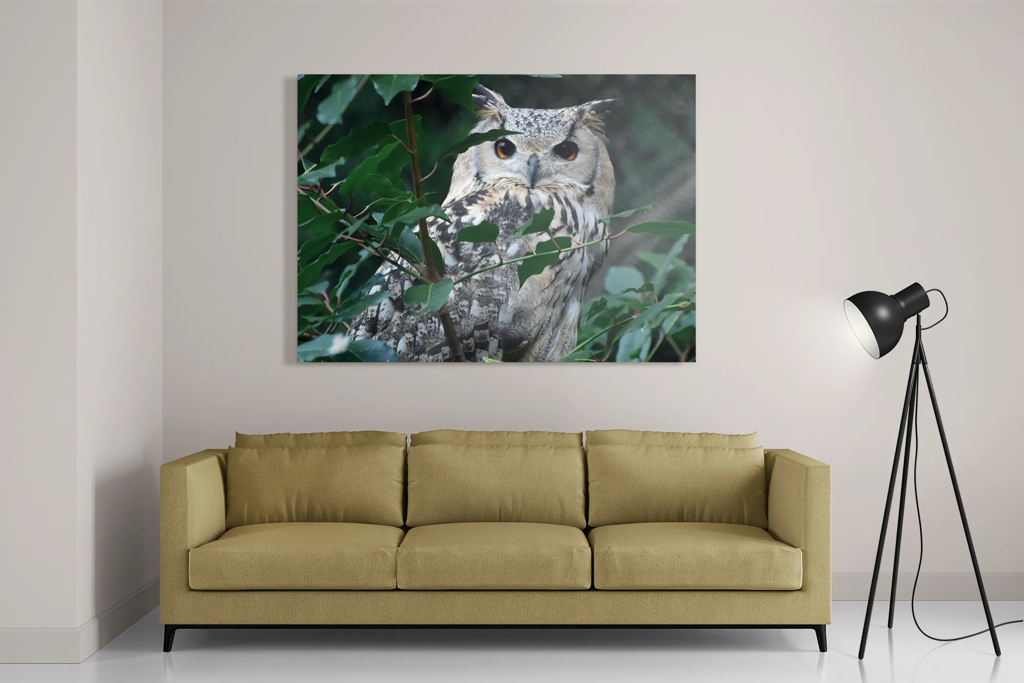 Schilderij Uil Op Tak Rechthoek Horizontaal Template DB 50 70 Horizontaal Dieren 12 2