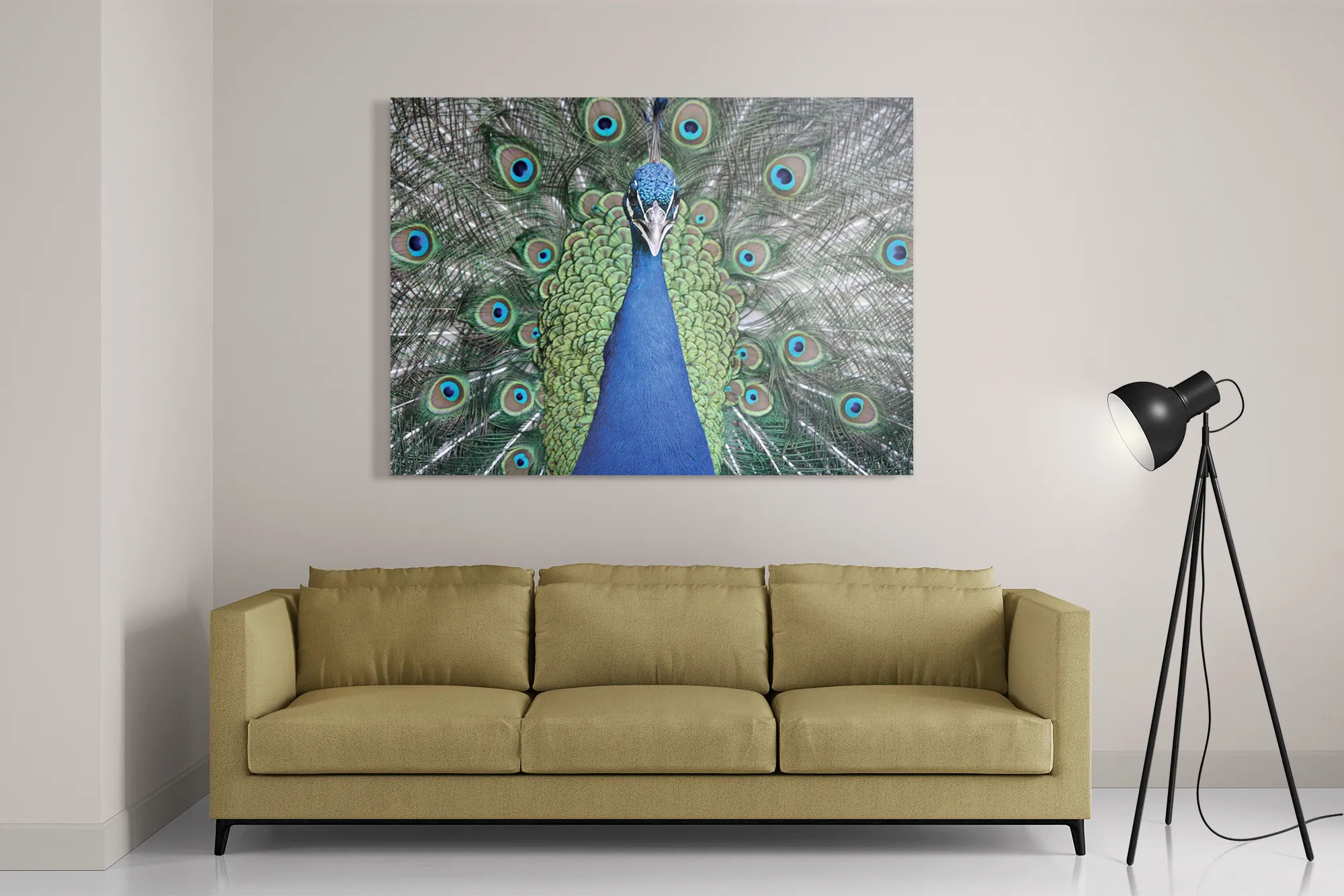 Schilderij Blauwe Pauw Met Groene Verem Rechthoek Horizontaal Template DB 50 70 Horizontaal Dieren 20 2