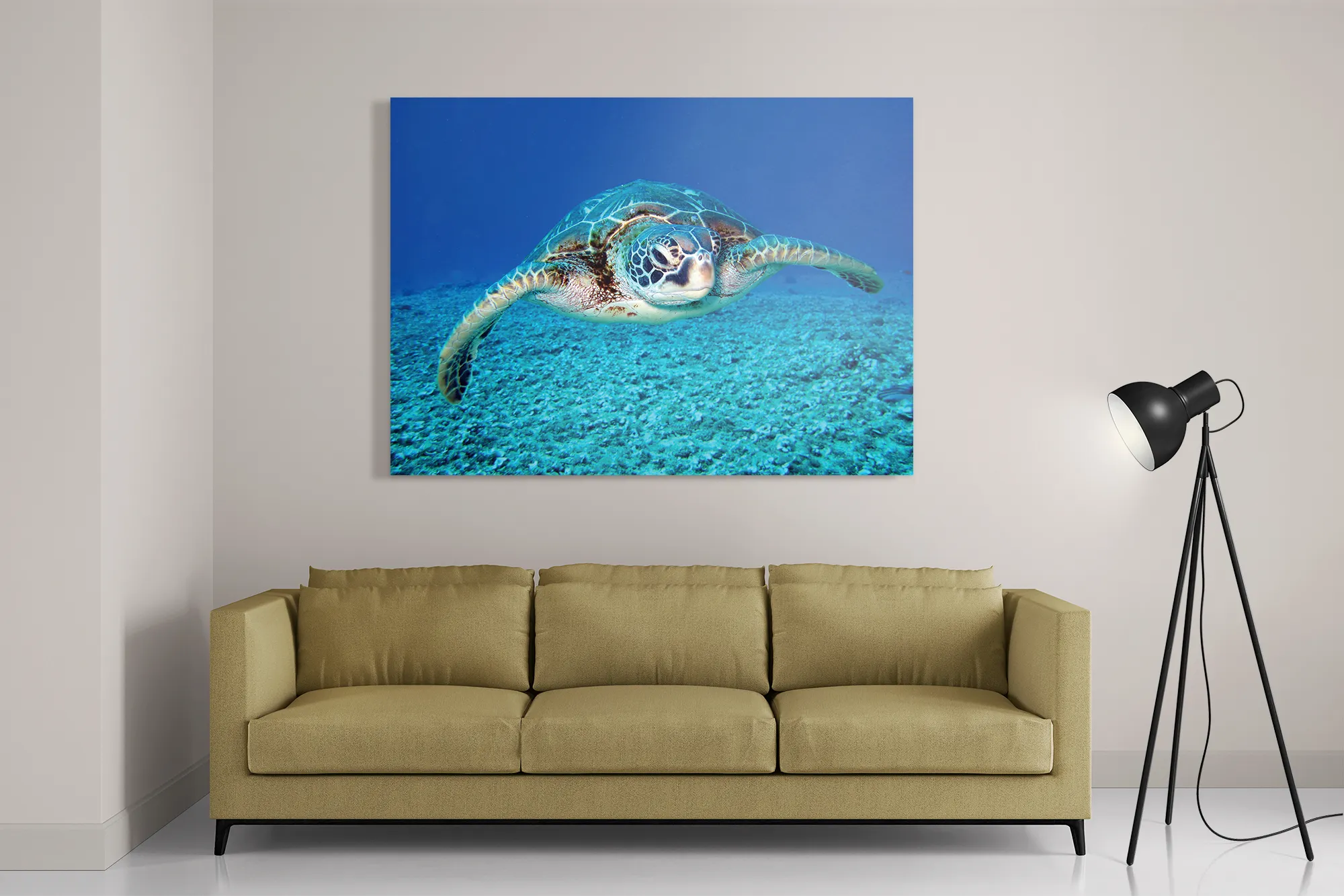 Schilderij Zeeschildpad In Helderblauw Water 01 Rechthoek Horizontaal Template DB 50 70 Horizontaal Dieren 21 2