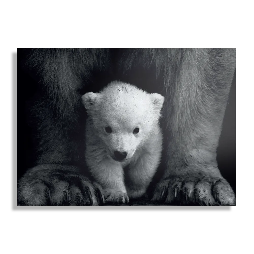 Schilderij Het Beschermde Welpje Rechthoek Horizontaal Template DB 50 70 Horizontaal Dieren 22 1