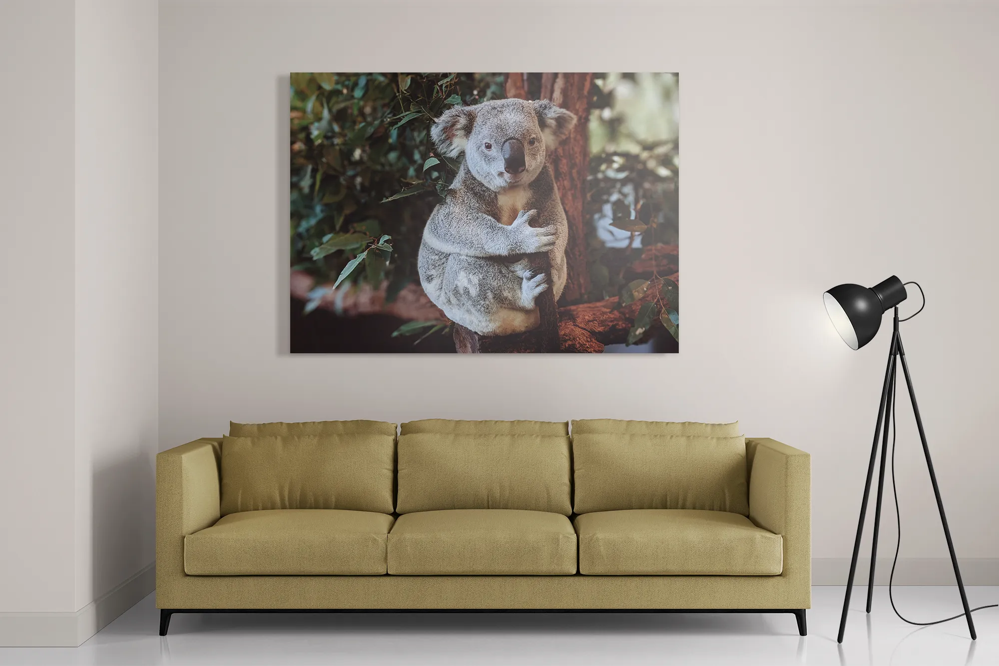 Schilderij De Vastgelamde Koala Rechthoek Horizontaal Template DB 50 70 Horizontaal Dieren 23 2