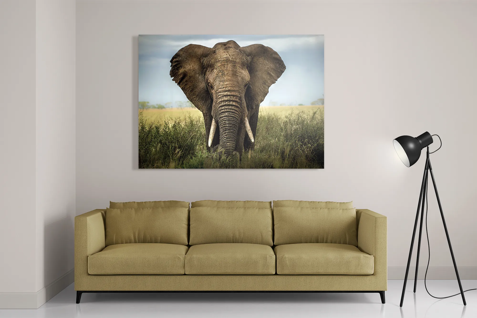 Schilderij Olifant Rechthoek Horizontaal Template DB 50 70 Horizontaal Dieren 25 2