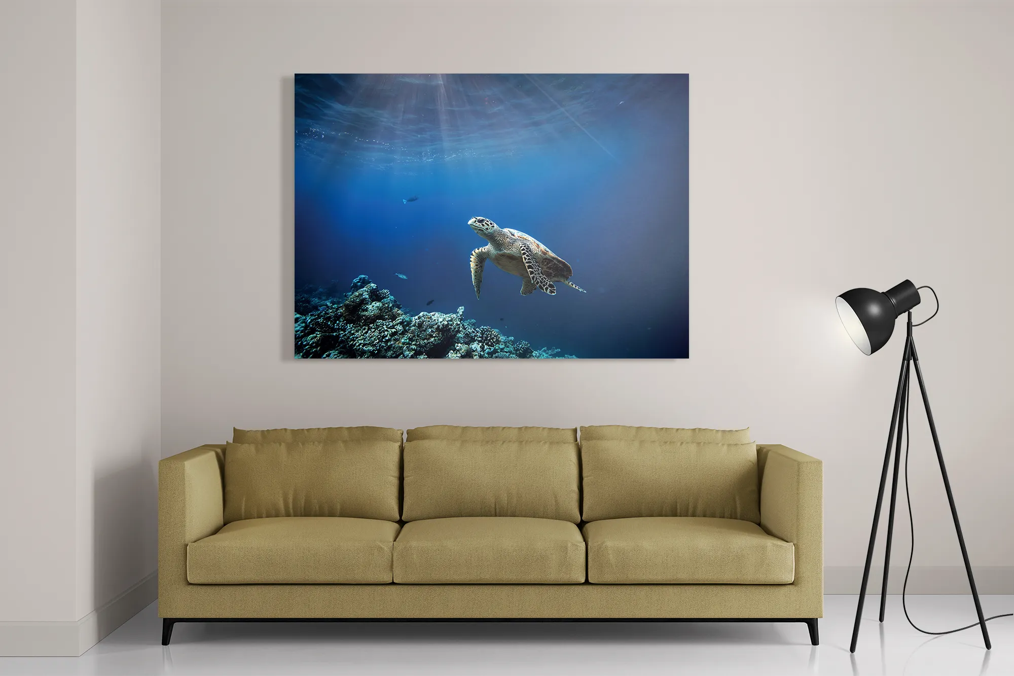Schilderij Zeeschildpad In Helderblauw Water 03 Rechthoek Horizontaal Template DB 50 70 Horizontaal Dieren 30 2