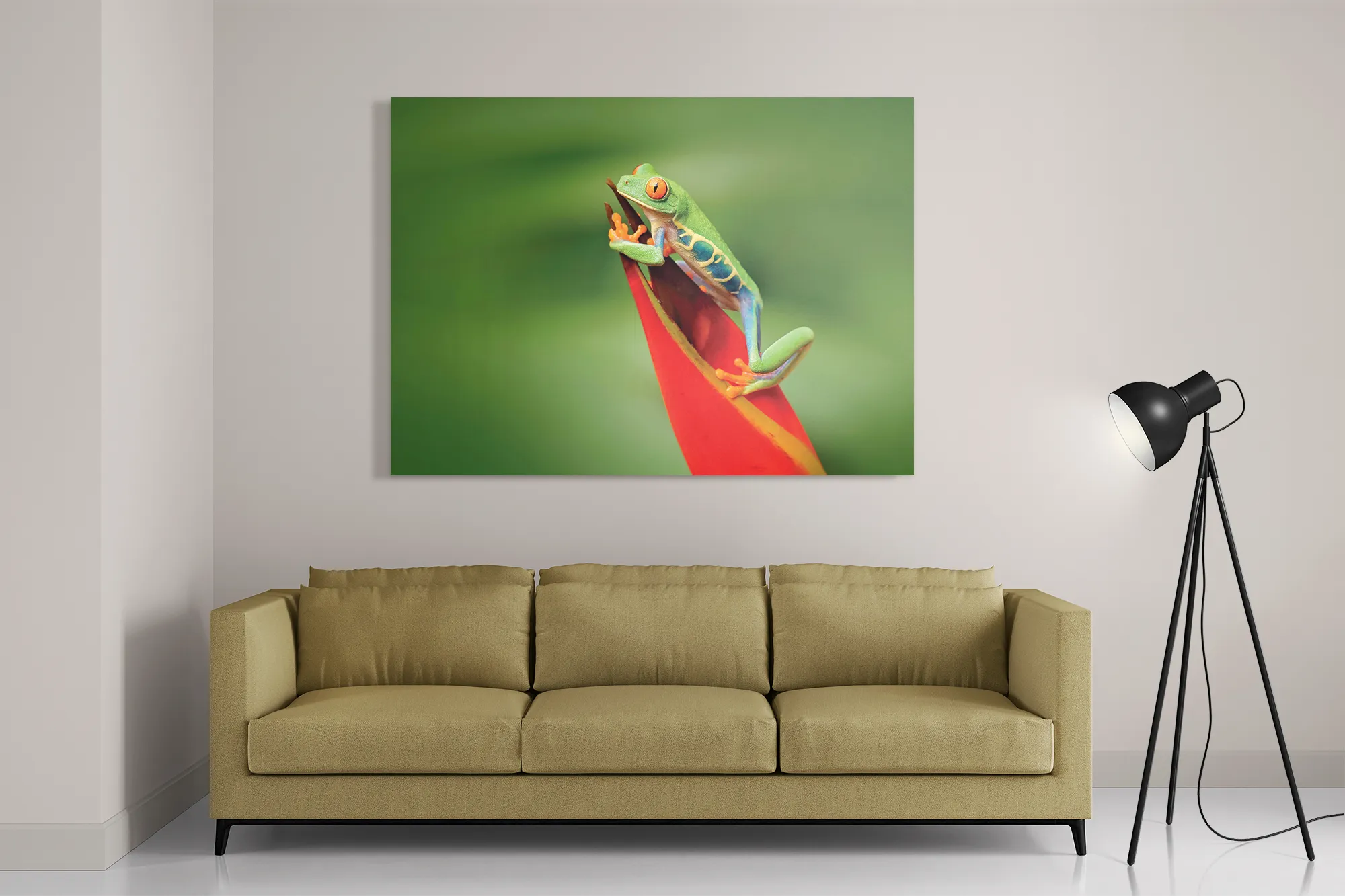 Schilderij Roodoog Boomkikker Rechthoek Horizontaal Template DB 50 70 Horizontaal Dieren 35 2