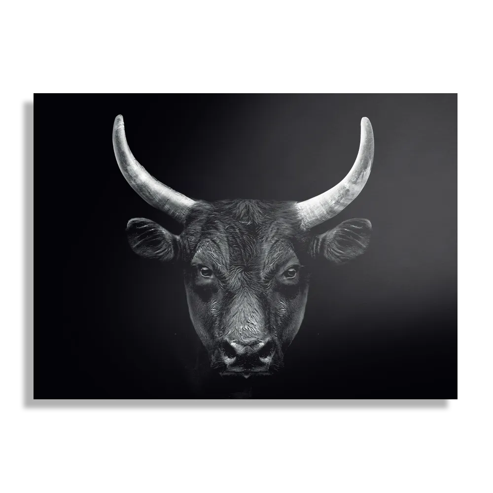 Schilderij Stier Ready To Fight 01 Rechthoek Horizontaal Template DB 50 70 Horizontaal Dieren 36 1