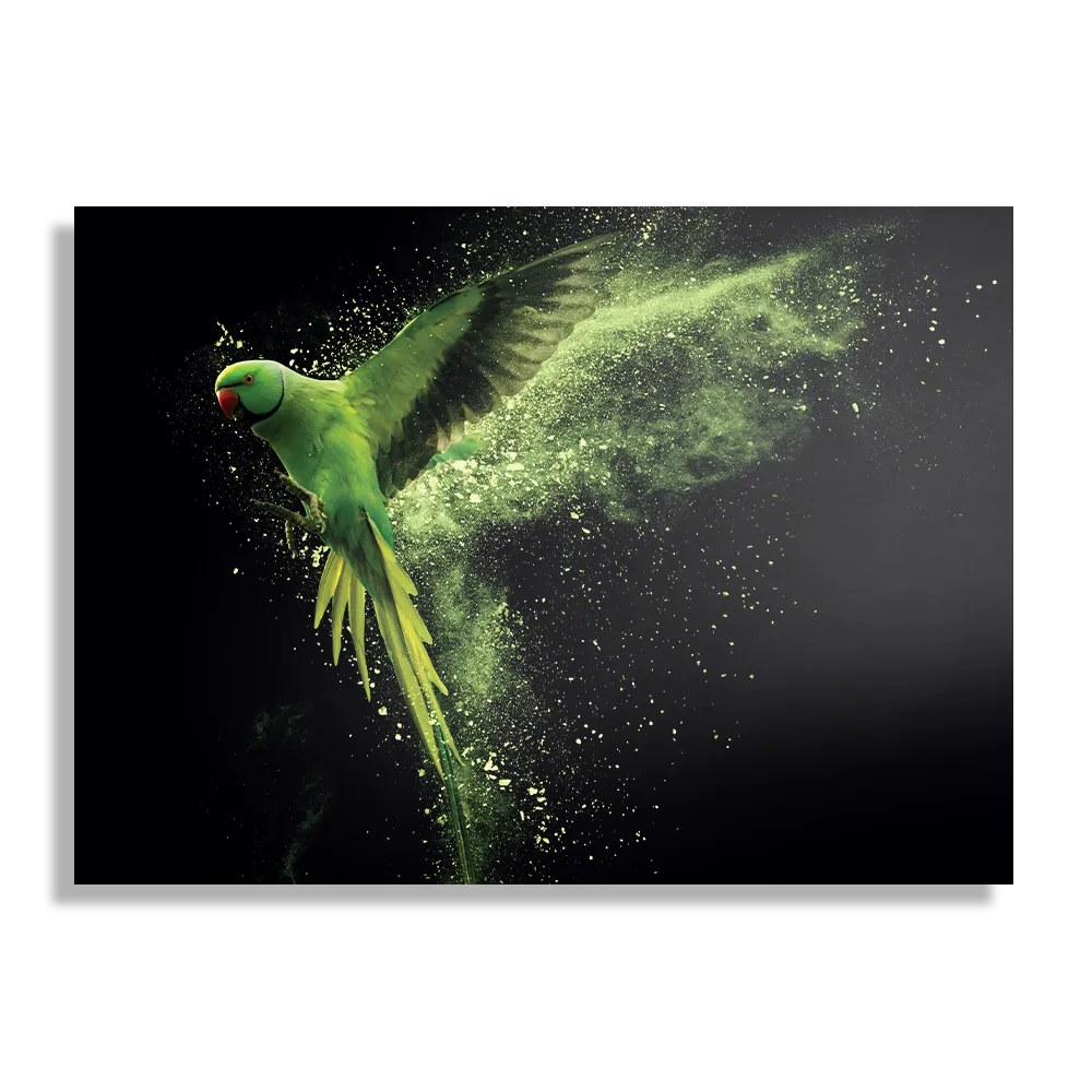 Schilderij De Groene Parkiet Rechthoek Horizontaal Template DB 50 70 Horizontaal Dieren 38 1