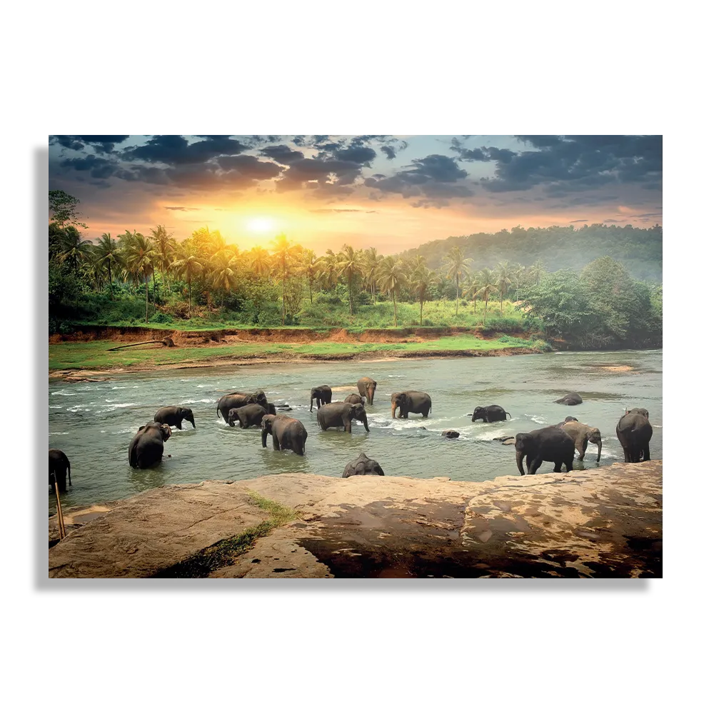 Schilderij De Rivier Olifanten Rechthoek Horizontaal Template DB 50 70 Horizontaal Dieren 39 1