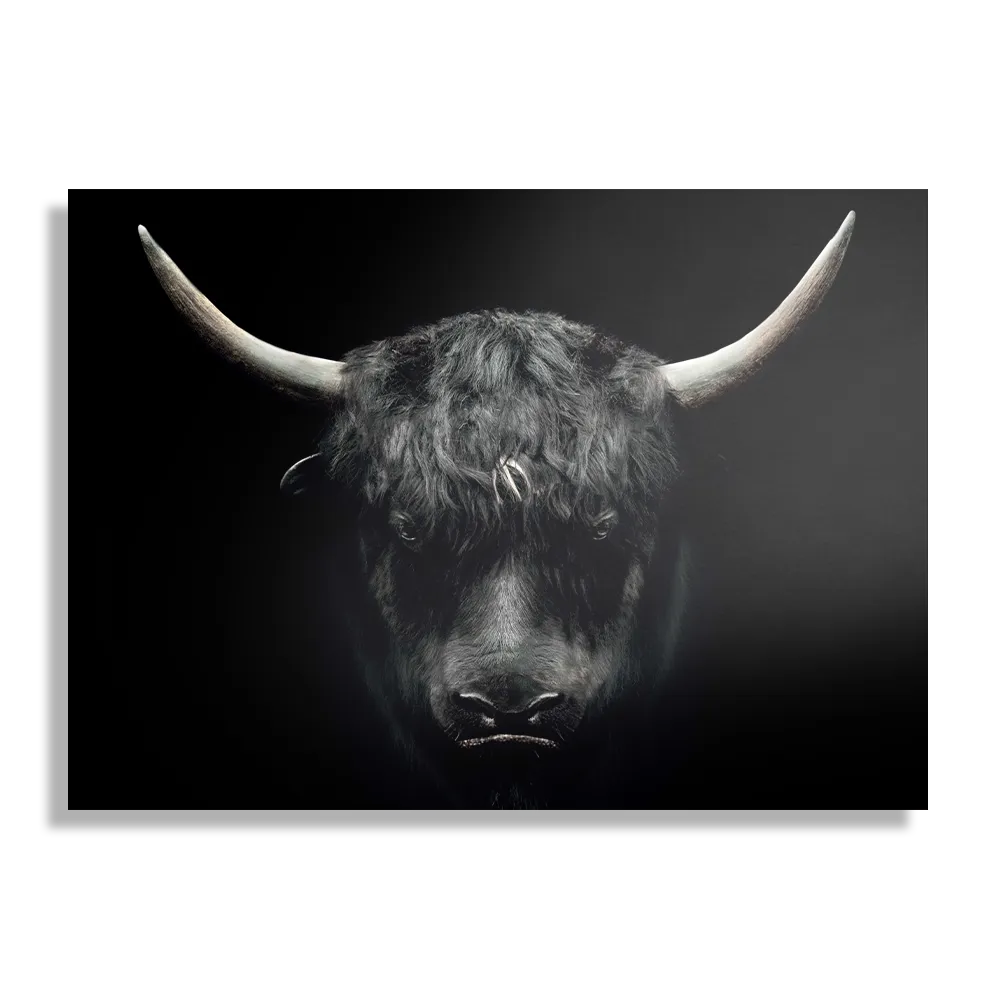 Schilderij Stier Ready To Fight 02 Rechthoek Horizontaal Template DB 50 70 Horizontaal Dieren 41 1