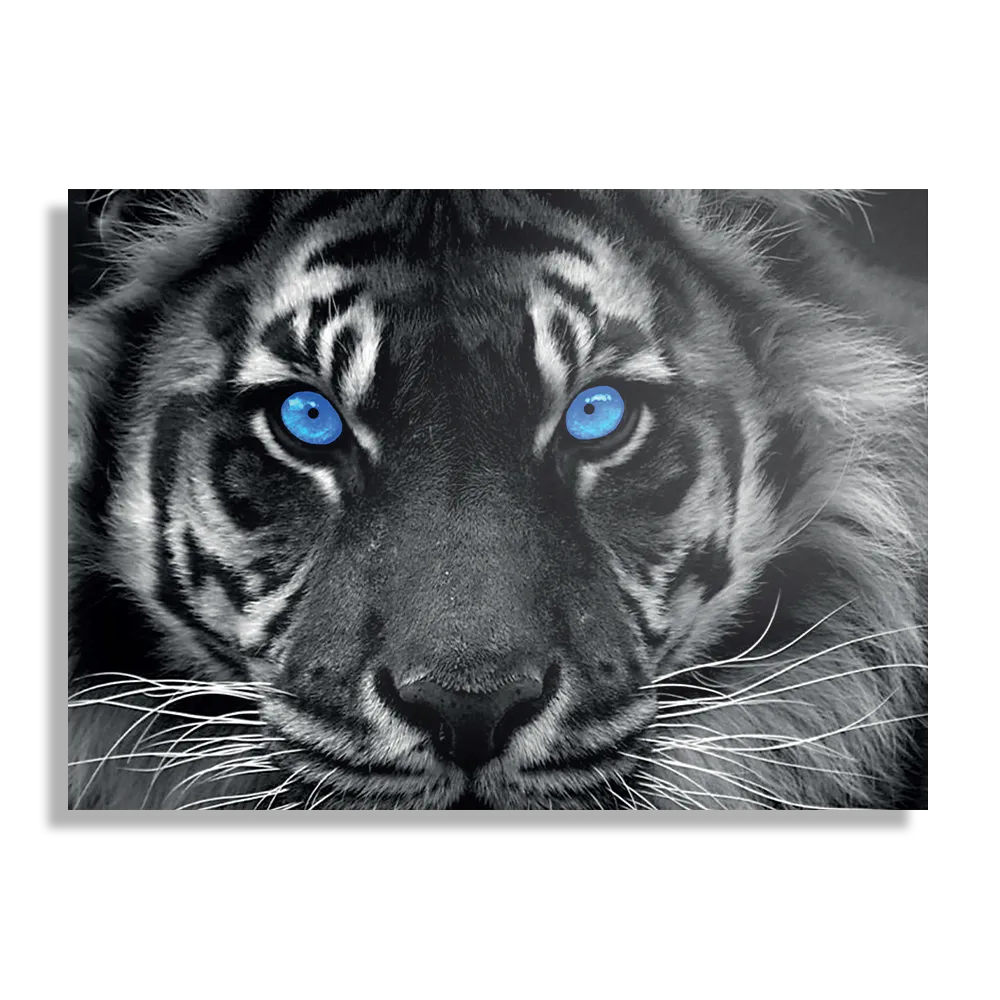 Schilderij Lion With Blue Eyes Rechthoek Horizontaal Template DB 50 70 Horizontaal Dieren 42 1