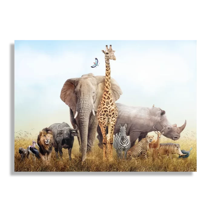 Schilderij De dieren van Zuid Afrika Rechthoek Horizontaal Template DB 50 70 Horizontaal Dieren 44 1