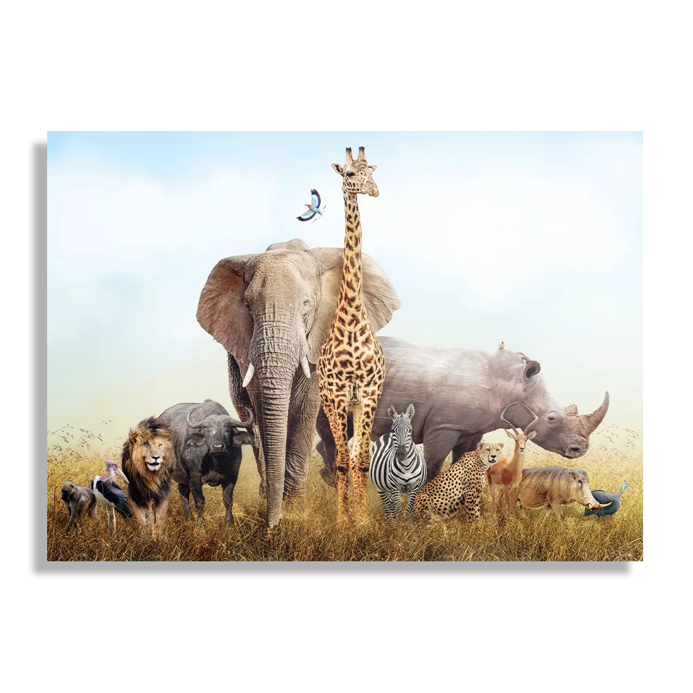Schilderij De dieren van Zuid Afrika Rechthoek Horizontaal Template DB 50 70 Horizontaal Dieren 44 1