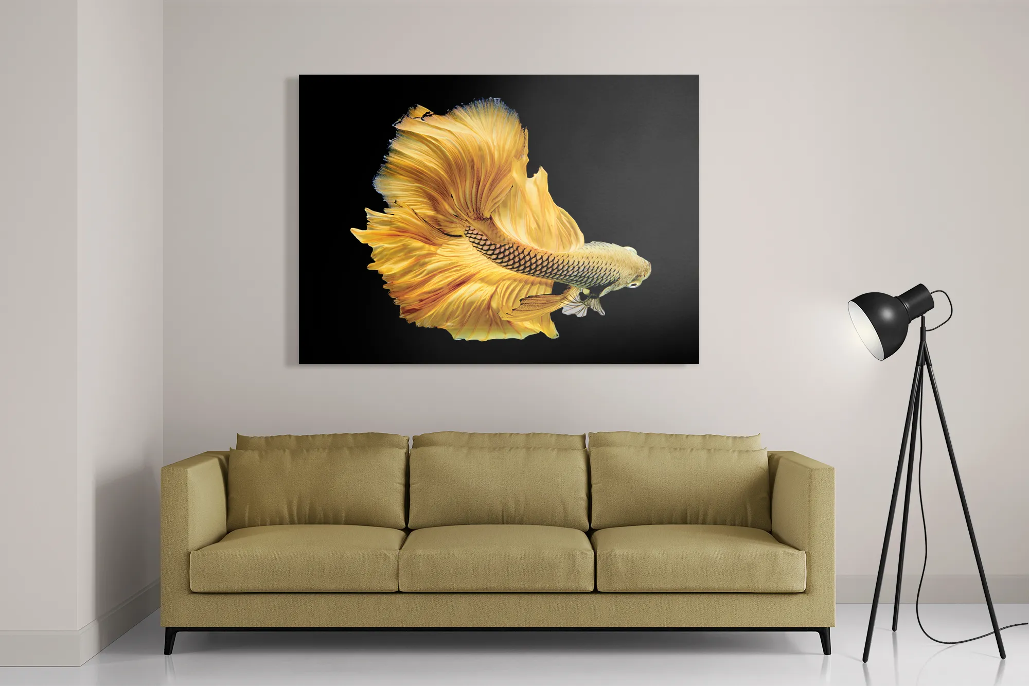 Schilderij Gele Betta Siamese Vis Rechthoek Horizontaal Template DB 50 70 Horizontaal Dieren 47 2