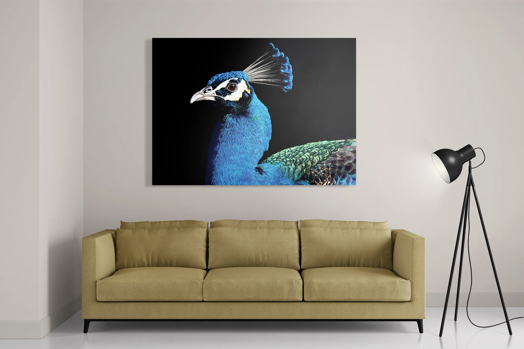 Schilderij De Pauw Rechthoek Horizontaal Template DB 50 70 Horizontaal Dieren 48 2