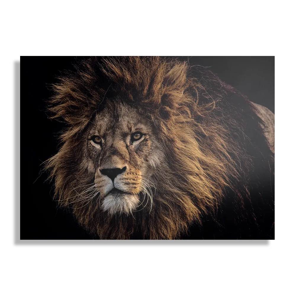 Schilderij The Lion Rechthoek Horizontaal Template DB 50 70 Horizontaal Dieren 5 1