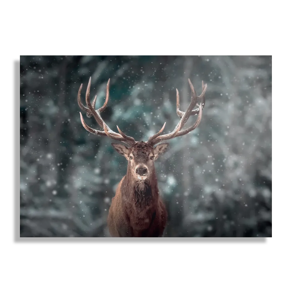 Template_DB_50-70_Horizontaal_Dieren_52-1 Schilderij Edelhert In De Sneeuw Rechthoek Horizontaal Template DB 50 70 Horizontaal Dieren 52 1