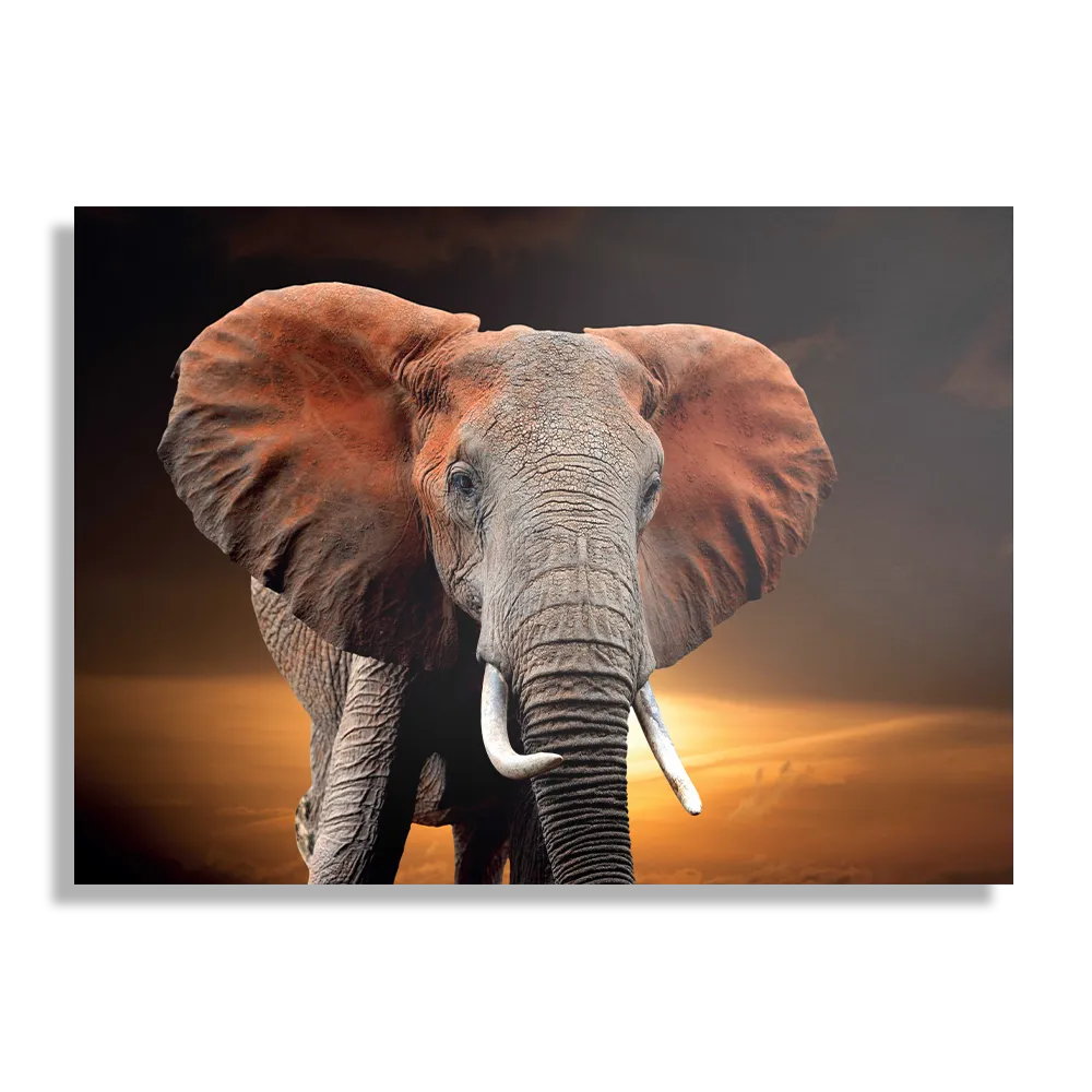 Template_DB_50-70_Horizontaal_Dieren_53-1 Schilderij Olifant met Zonsondergang Rechthoek Horizontaal Template DB 50 70 Horizontaal Dieren 53 1