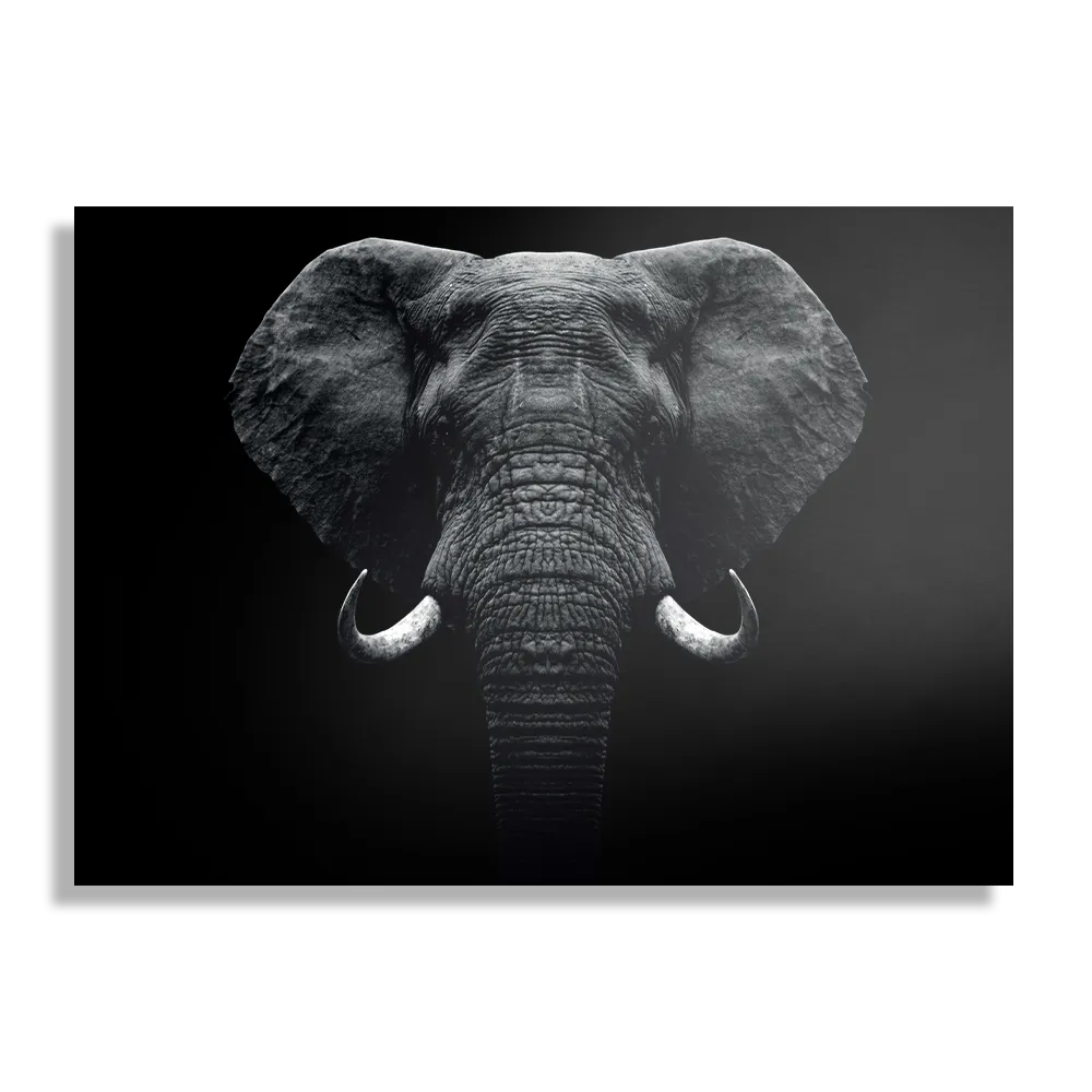 Schilderij Olifant Zwart Wit Rechthoek Horizontaal Template DB 50 70 Horizontaal Dieren 56 1