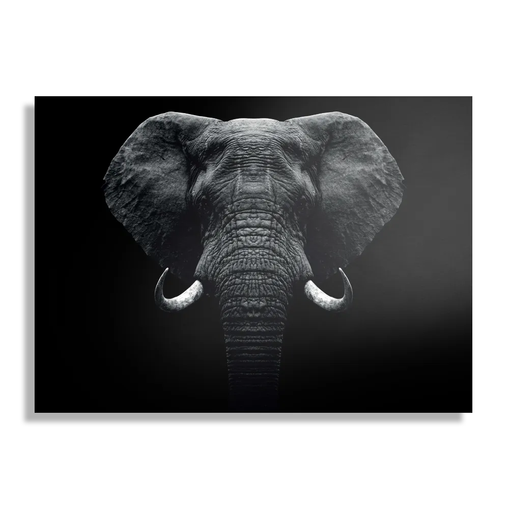 Schilderij Pandabeer Zwart Wit 01 Rechthoek Horizontaal Template DB 50 70 Horizontaal Dieren 57 1