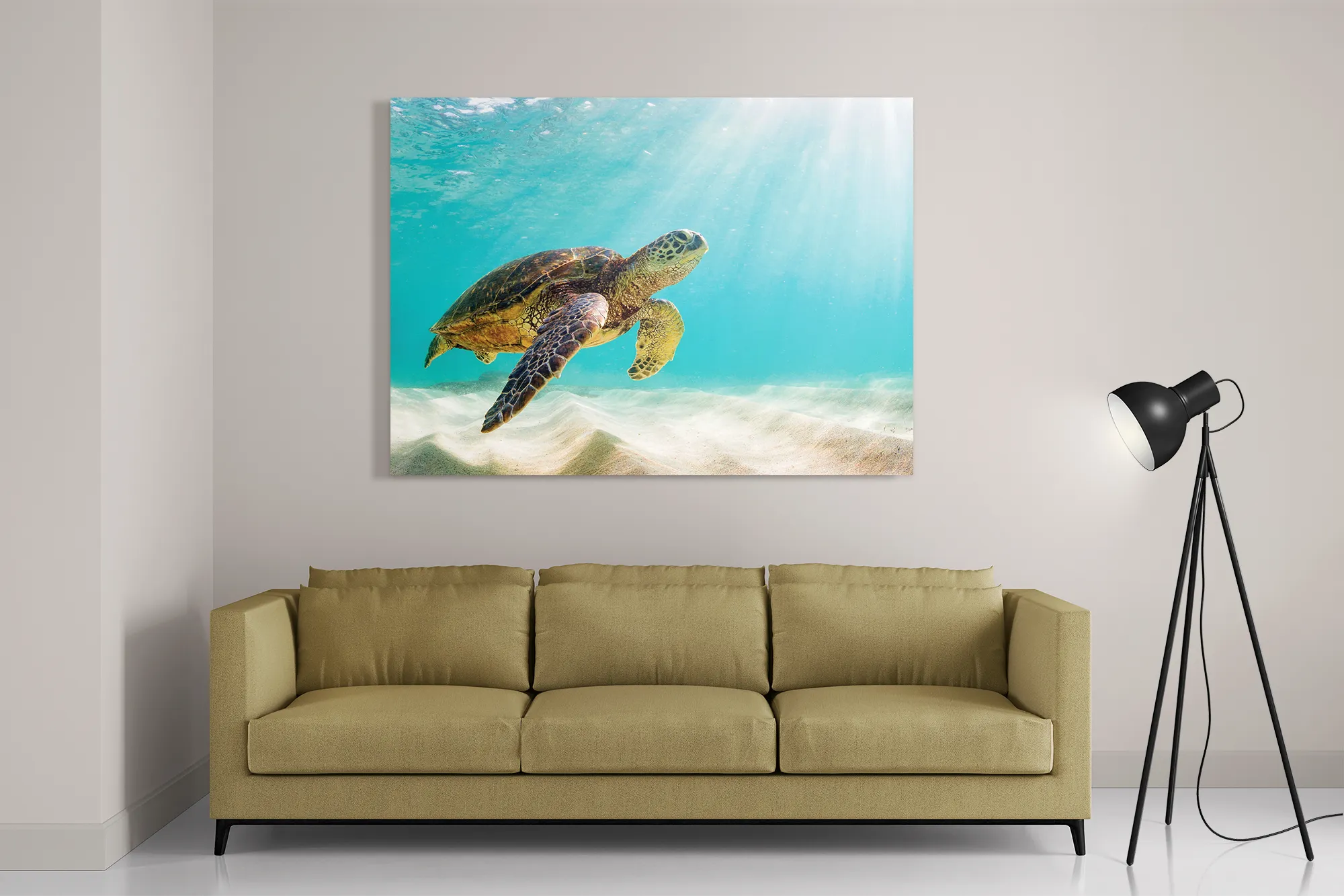 Schilderij Zeeschildpad In Helderblauw Water 04 Rechthoek Horizontaal Template DB 50 70 Horizontaal Dieren 58 2