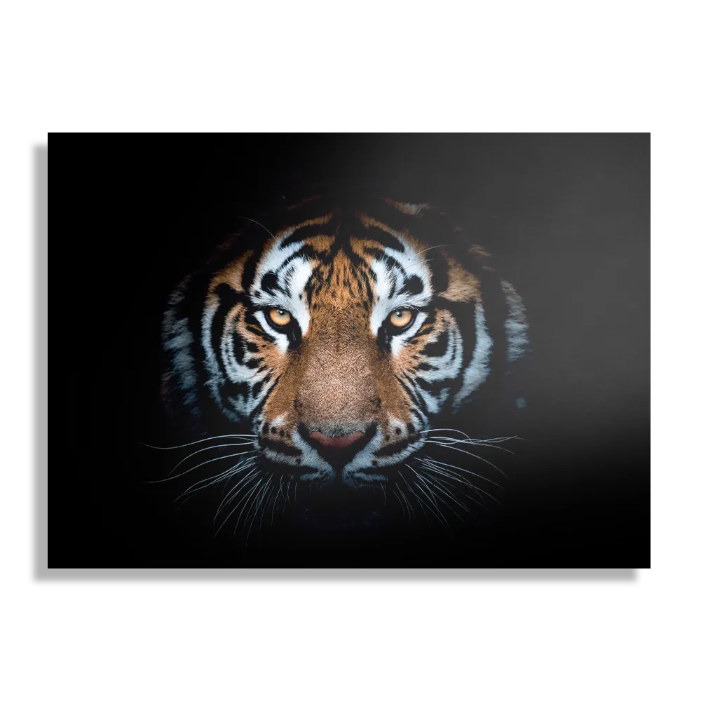 Template_DB_50-70_Horizontaal_Dieren_62-1 Schilderij De Gevaarlijke Tijger Rechthoek Horizontaal Template DB 50 70 Horizontaal Dieren 62 1