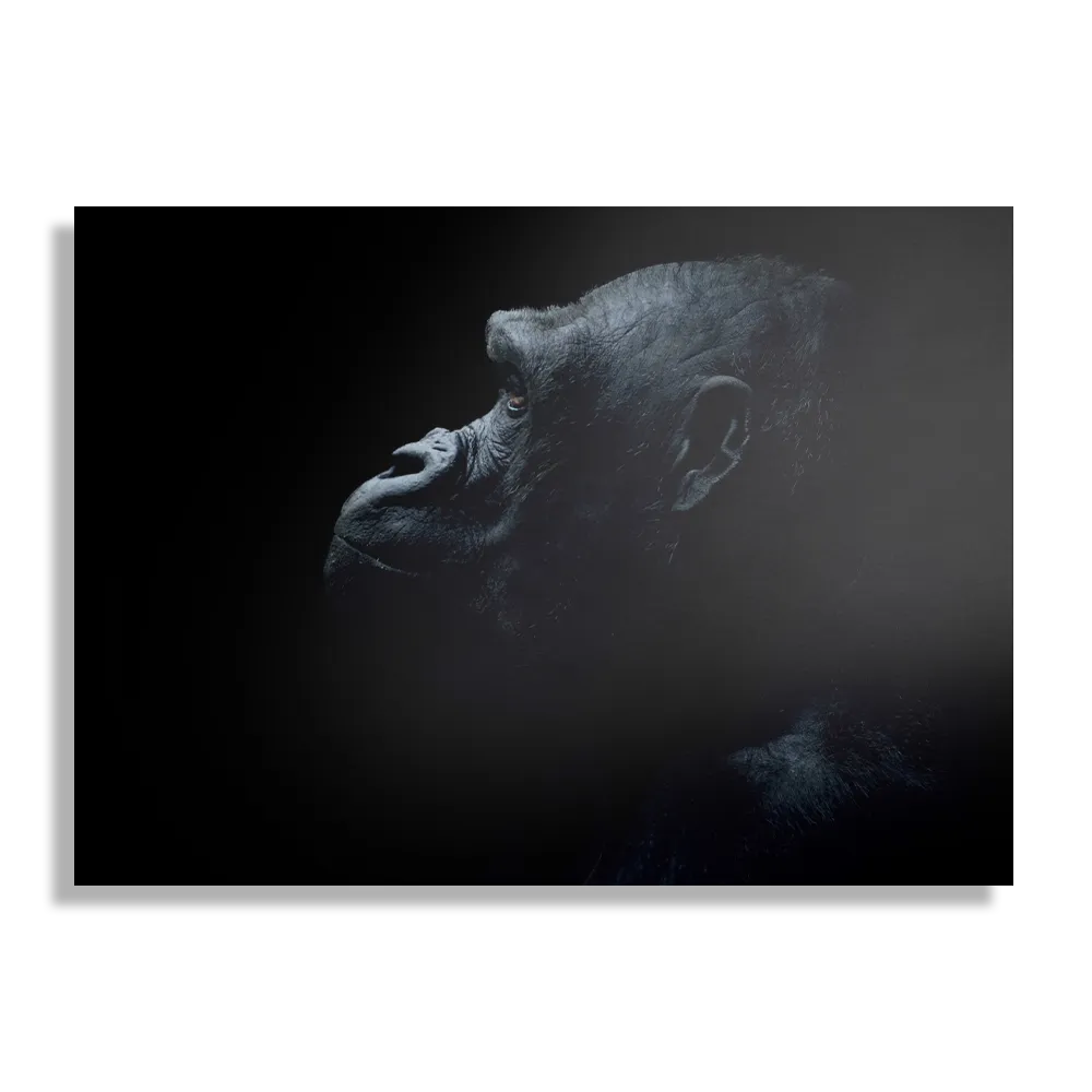 Template_DB_50-70_Horizontaal_Dieren_65-1 Schilderij De Aap Zwart Wit Rechthoek Horizontaal Template DB 50 70 Horizontaal Dieren 65 1