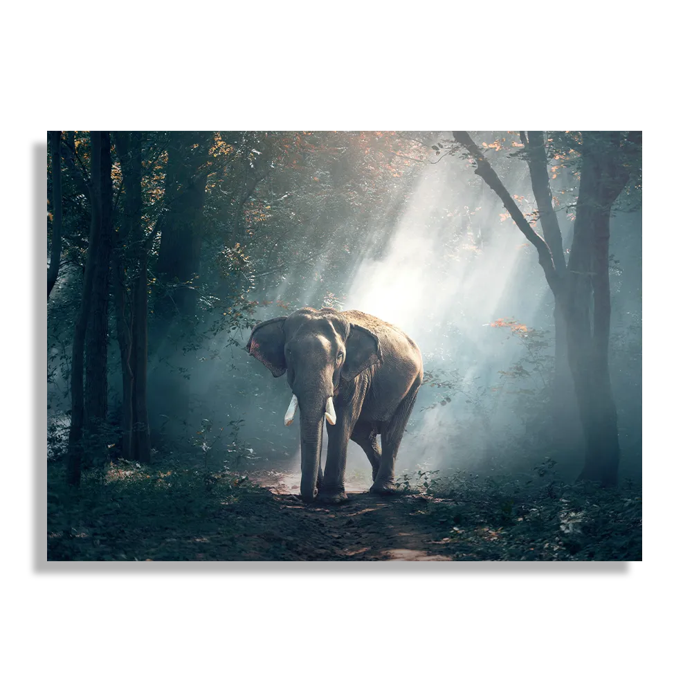 Schilderij De Belichten Olifant Rechthoek Horizontaal Template DB 50 70 Horizontaal Dieren 69 1