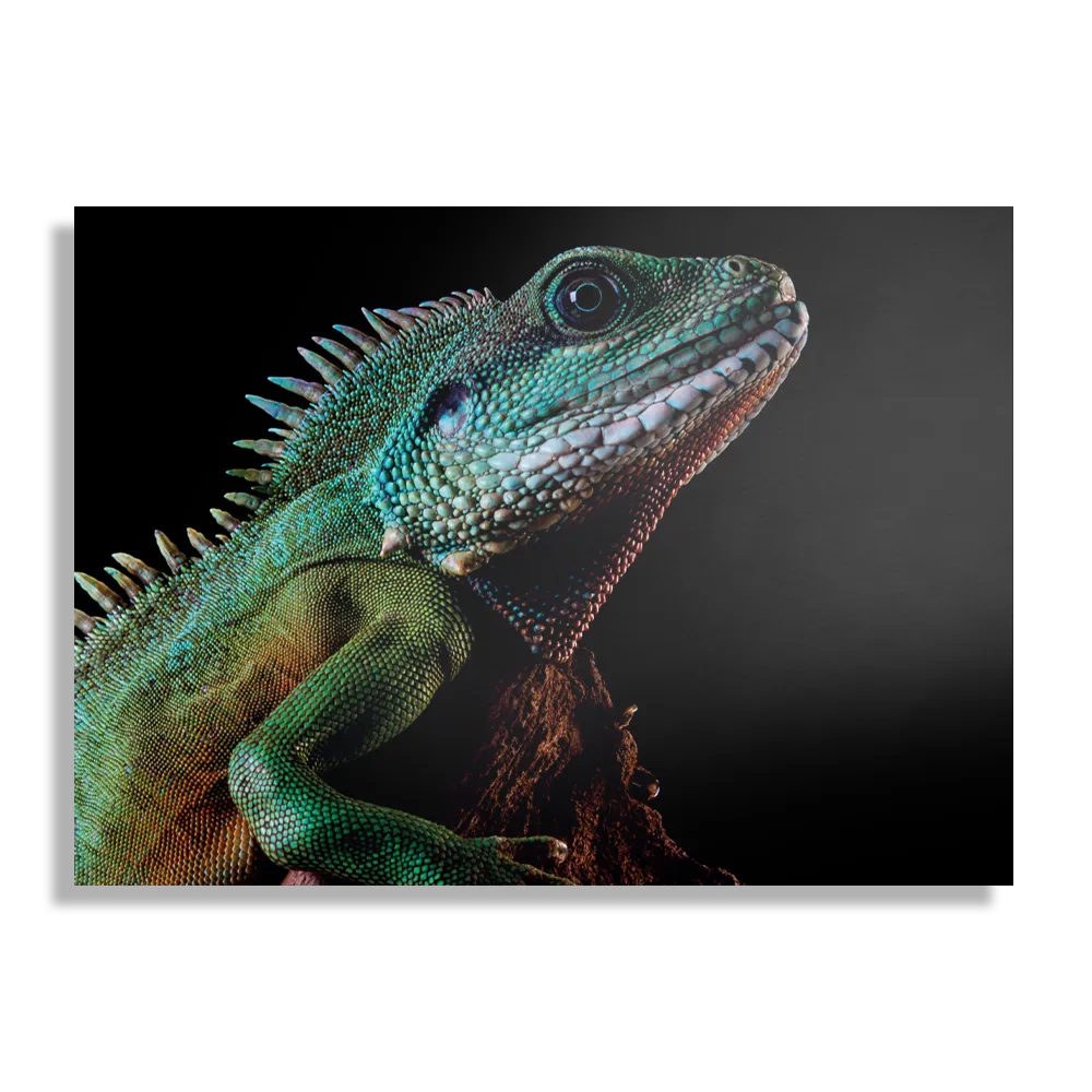 Schilderij De Groene Kameleon Rechthoek Horizontaal Template DB 50 70 Horizontaal Dieren 73 1