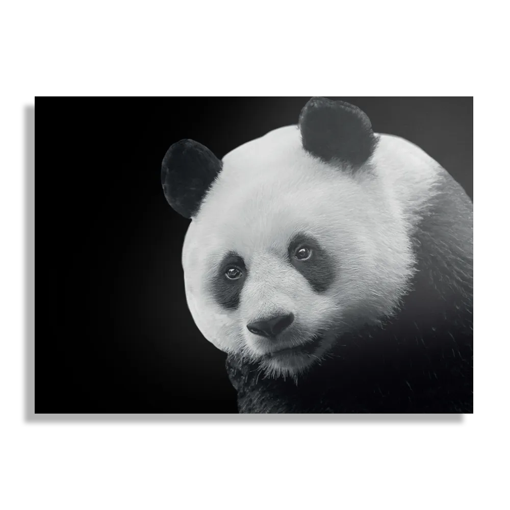 Template_DB_50-70_Horizontaal_Dieren_74-1 Schilderij Pandabeer Zwart Wit 02 Rechthoek Horizontaal Template DB 50 70 Horizontaal Dieren 74 1
