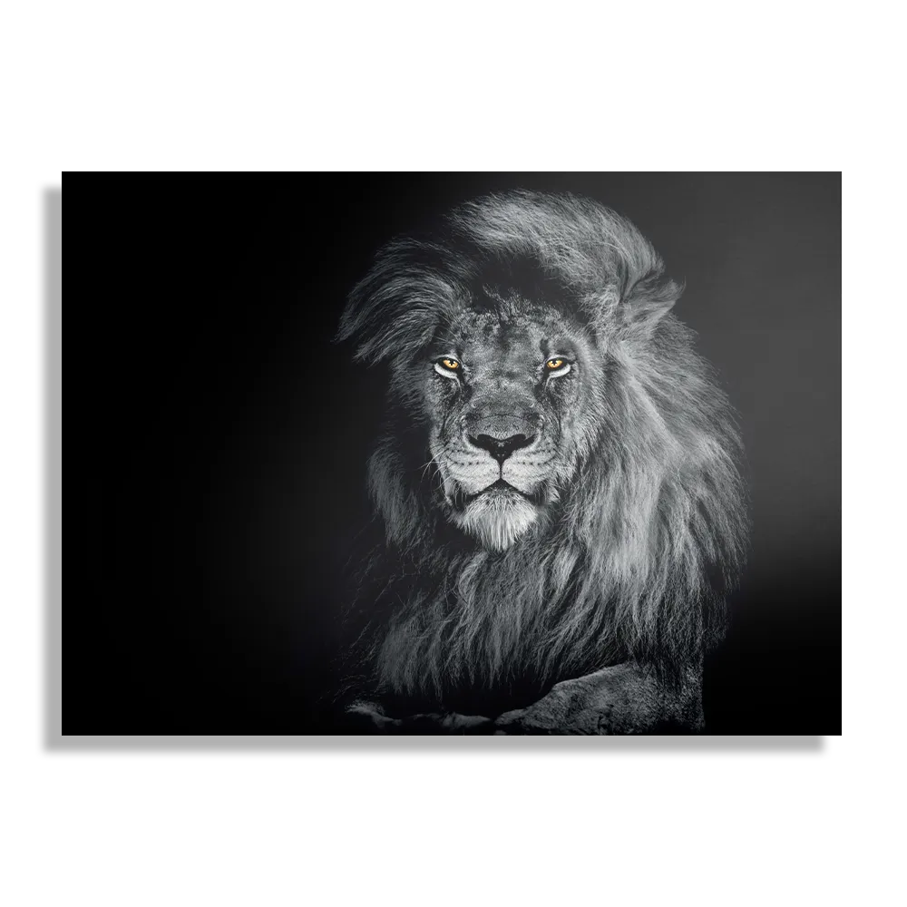 Schilderij De Zwart Witte Leeuw Rechthoek Horizontaal Template DB 50 70 Horizontaal Dieren 75 1
