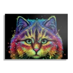 Schilderij Colored Cat Rechthoek Horizontaal Template DB 50 70 Horizontaal Dieren 76 1