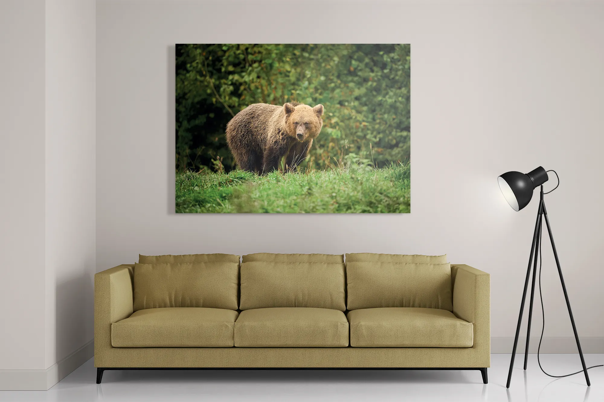 Schilderij De Beer Tussen Het Groen Rechthoek Horizontaal Template DB 50 70 Horizontaal Dieren 78 2