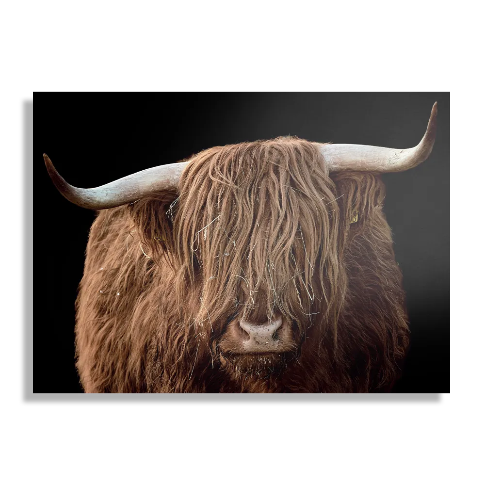 Schilderij De Blinde Bizon Rechthoek Horizontaal Template DB 50 70 Horizontaal Dieren 81 1