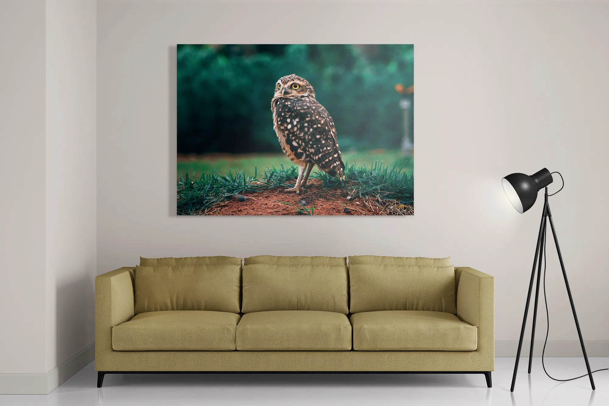 Schilderij Uil In De Natuur Rechthoek Horizontaal Template DB 50 70 Horizontaal Dieren 9 2