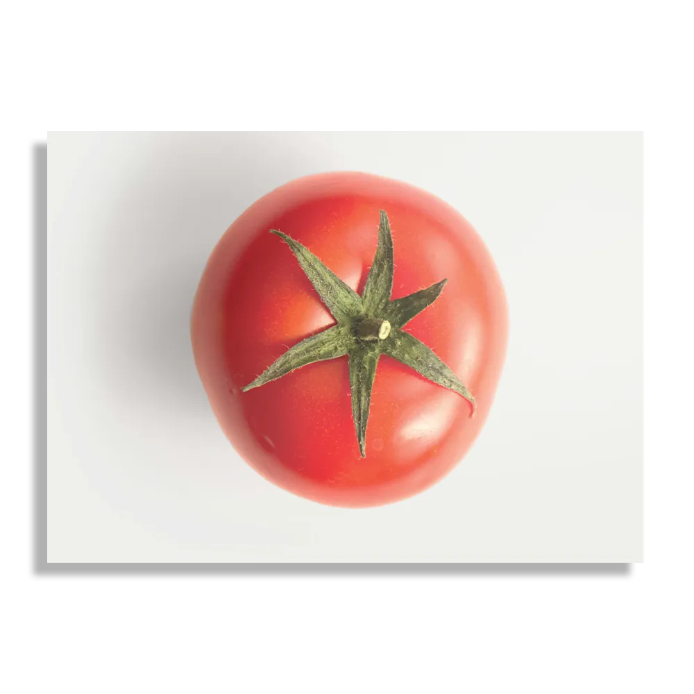 Schilderij Tomato Rechthoek Horizontaal Template DB 50 70 Horizontaal Eten En Drinken 12 1